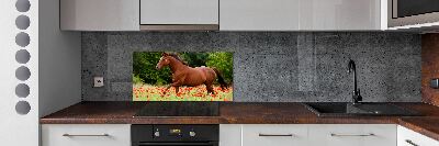 Kitchen splashback A horse in the field of poppies