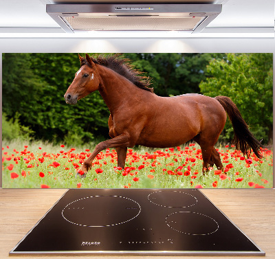 Kitchen splashback A horse in the field of poppies