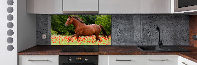 Kitchen splashback A horse in the field of poppies