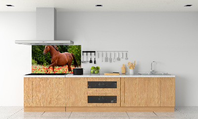 Kitchen splashback A horse in the field of poppies