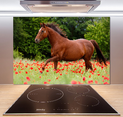 Kitchen splashback A horse in the field of poppies