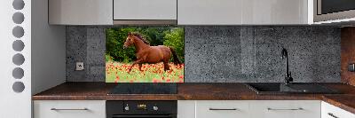 Kitchen splashback A horse in the field of poppies