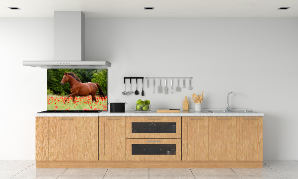 Kitchen splashback A horse in the field of poppies