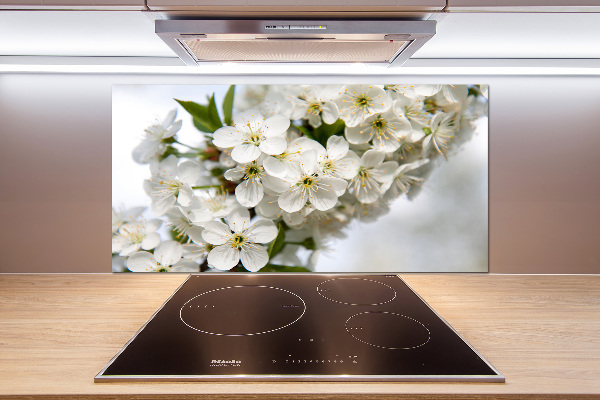 Cooker splashback Cherry blossoms