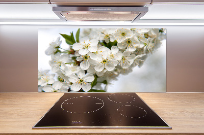 Cooker splashback Cherry blossoms