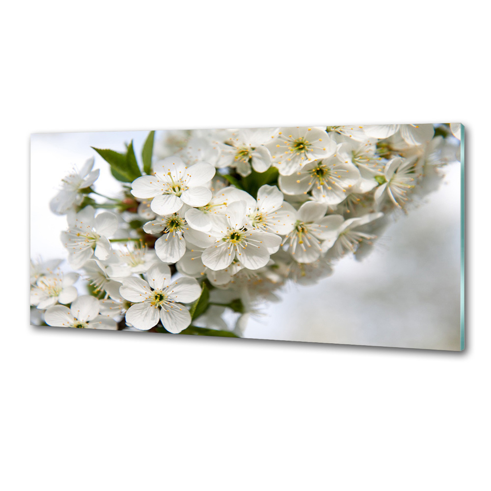 Cooker splashback Cherry blossoms