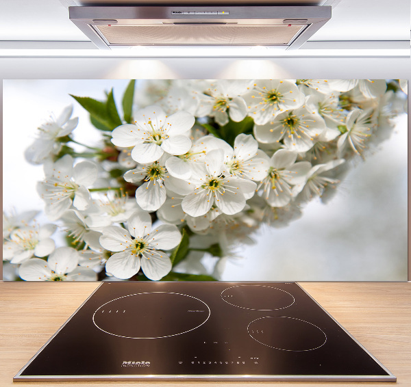 Cooker splashback Cherry blossoms