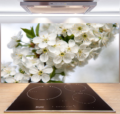 Cooker splashback Cherry blossoms