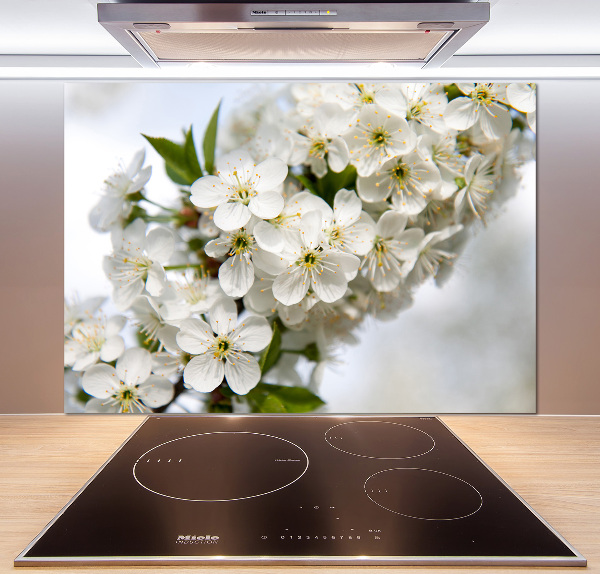 Cooker splashback Cherry blossoms