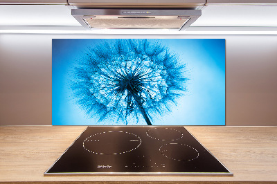 Cooker splashback Dandelion