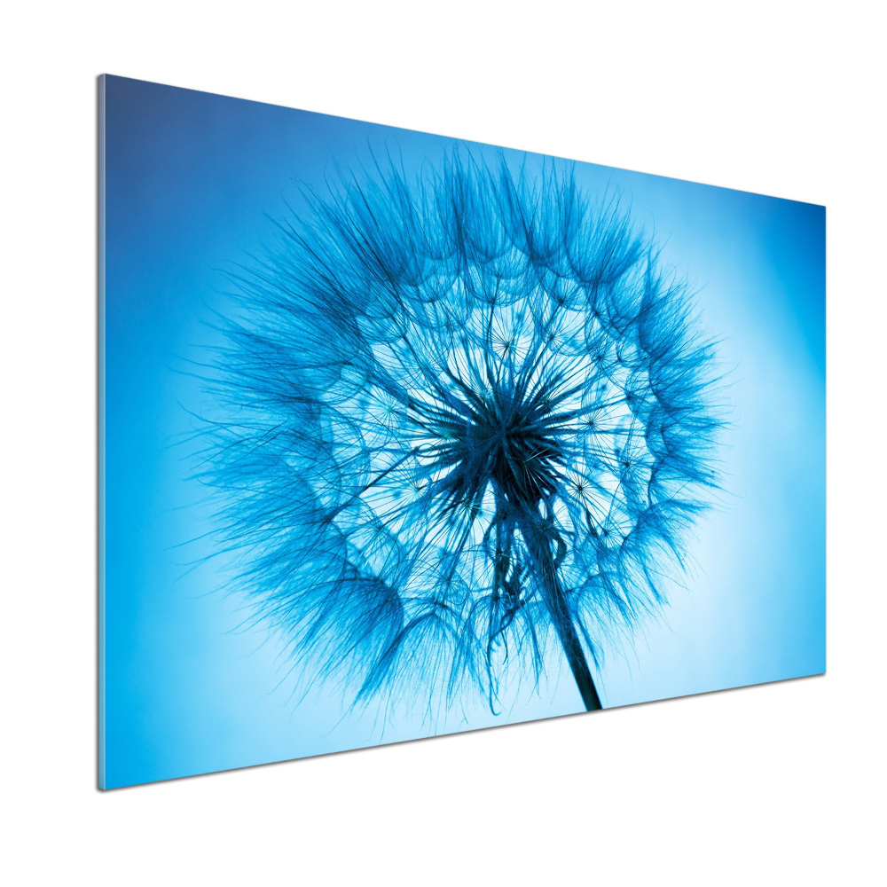 Cooker splashback Dandelion