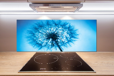 Cooker splashback Dandelion