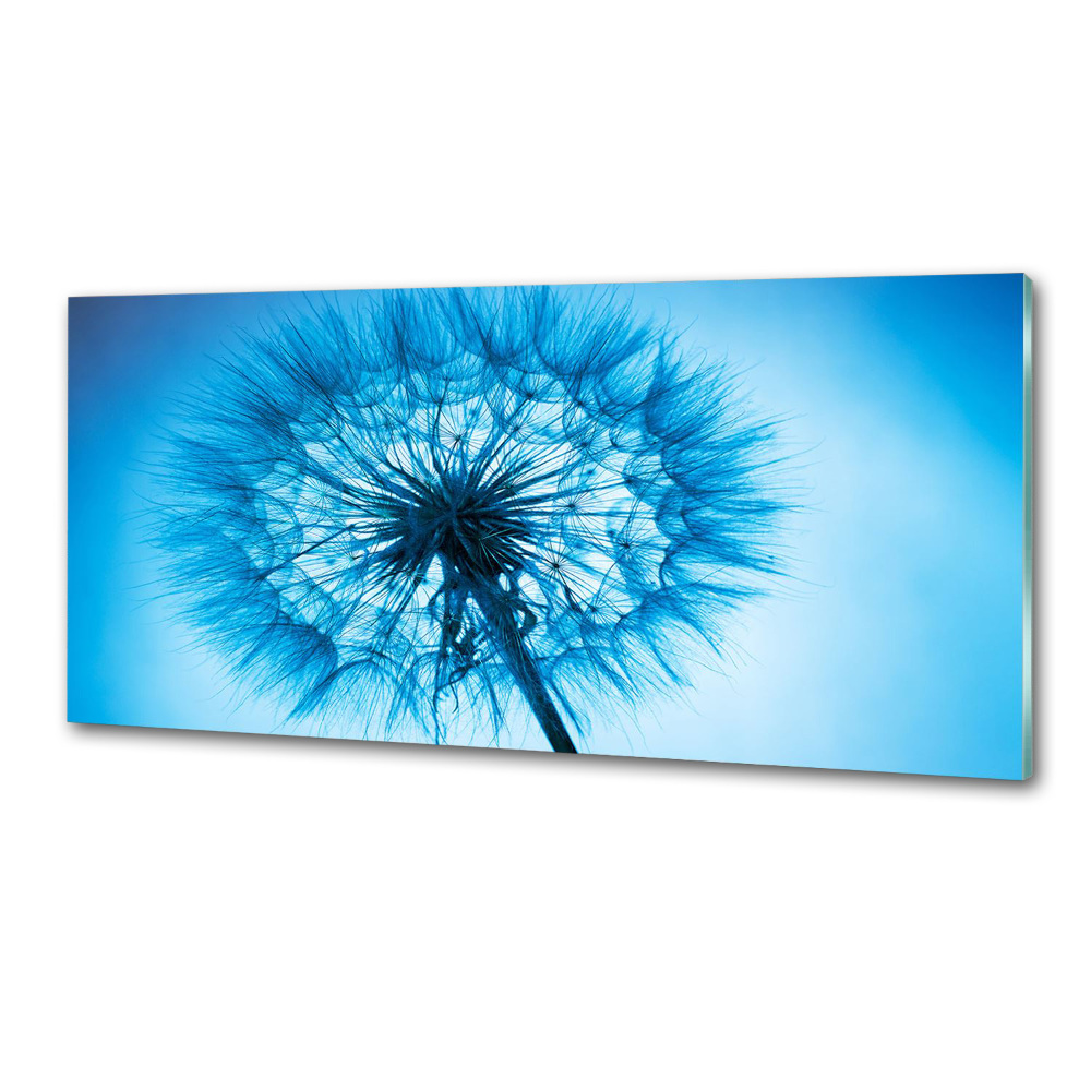 Cooker splashback Dandelion