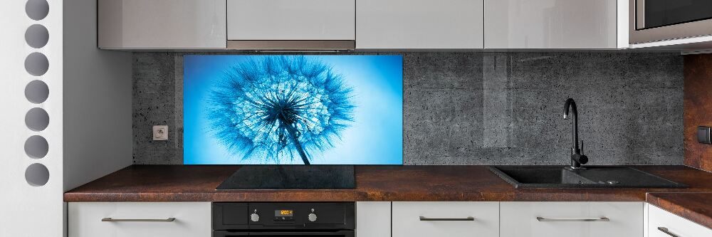 Cooker splashback Dandelion