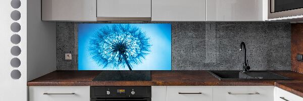 Cooker splashback Dandelion