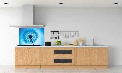 Cooker splashback Dandelion