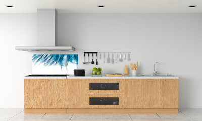 Splashback panel for kitchen Blue feathers