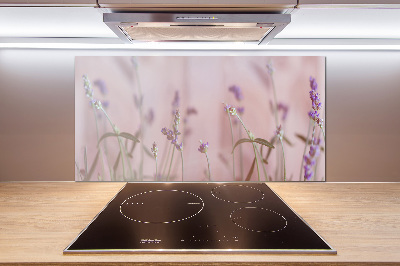 Cooker splashback Lavender