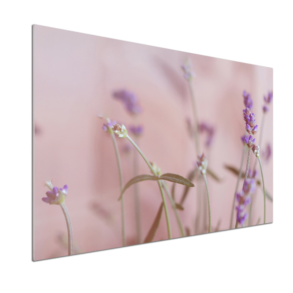 Cooker splashback Lavender