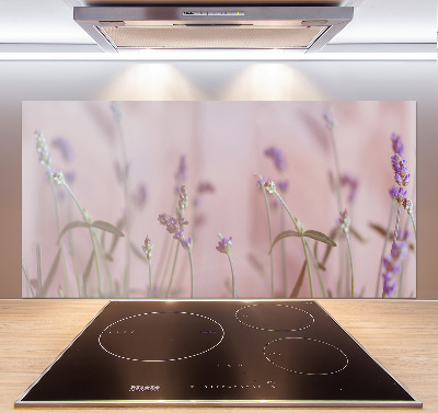 Cooker splashback Lavender