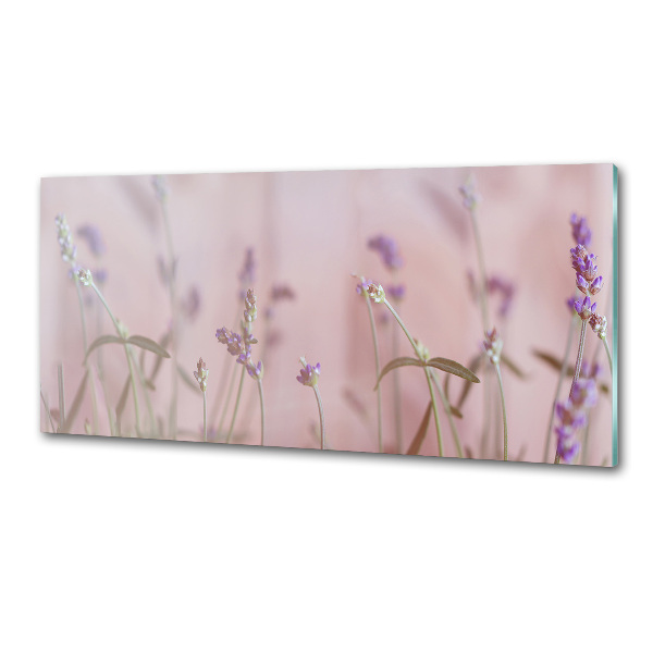 Cooker splashback Lavender