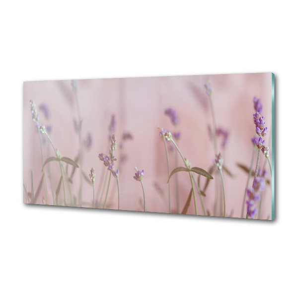 Cooker splashback Lavender