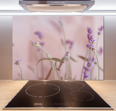 Cooker splashback Lavender