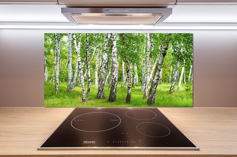 Kitchen splashback Birch forest