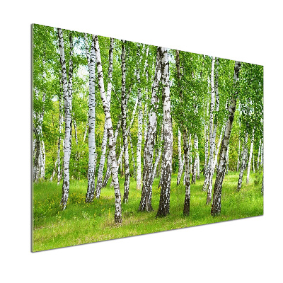 Kitchen splashback Birch forest