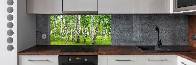 Kitchen splashback Birch forest