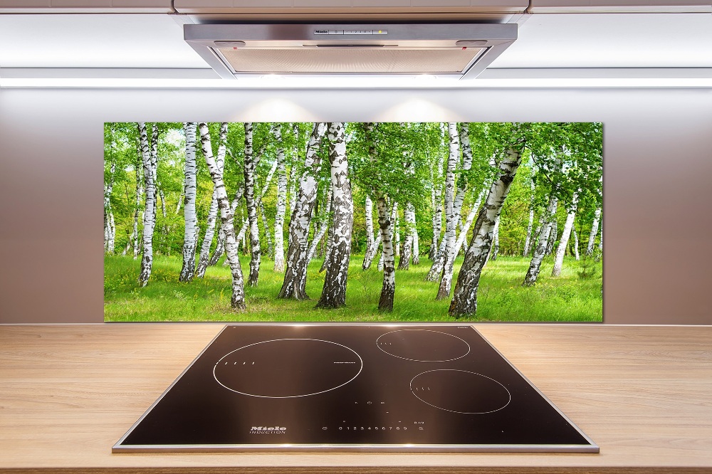 Kitchen splashback Birch forest