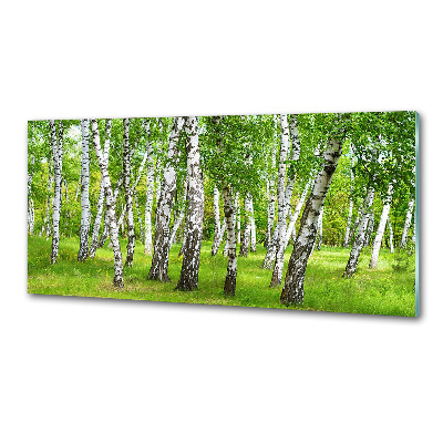 Kitchen splashback Birch forest