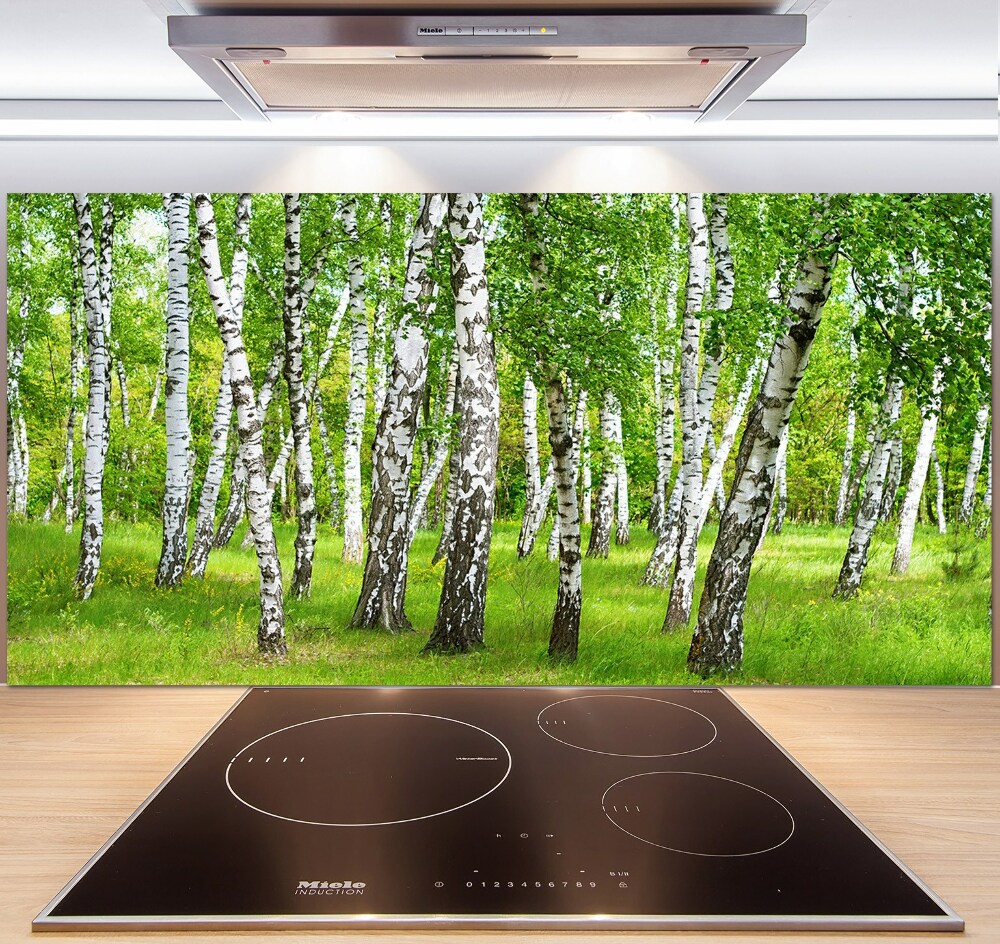 Kitchen splashback Birch forest