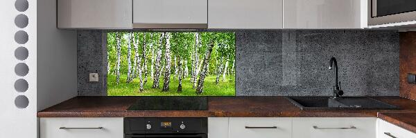 Kitchen splashback Birch forest