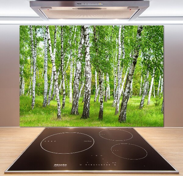 Kitchen splashback Birch forest