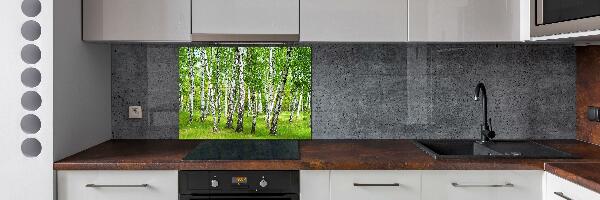 Kitchen splashback Birch forest