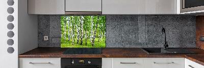 Kitchen splashback Birch forest