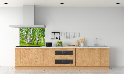 Kitchen splashback Birch forest