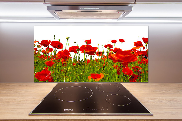 Cooker splashback Field poppies