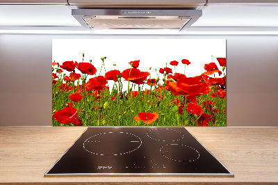 Cooker splashback Field poppies