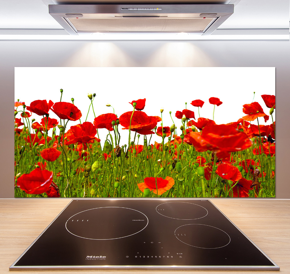 Cooker splashback Field poppies