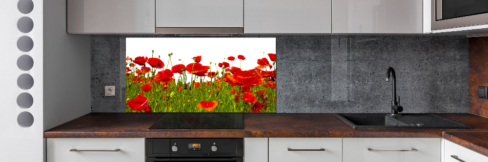 Cooker splashback Field poppies