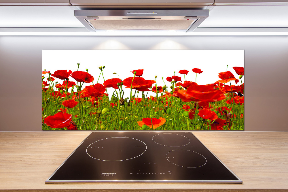 Cooker splashback Field poppies