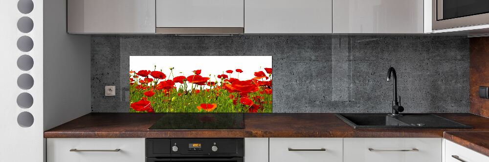 Cooker splashback Field poppies