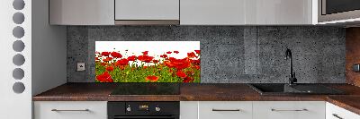 Cooker splashback Field poppies