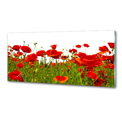 Cooker splashback Field poppies