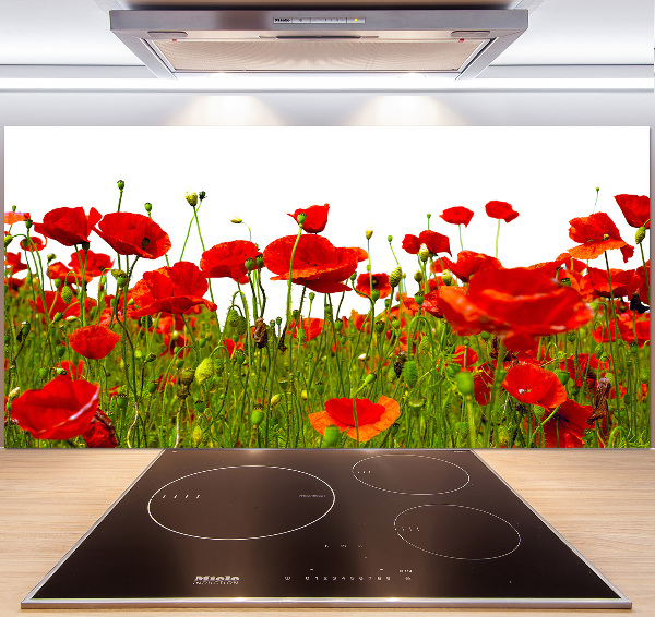 Cooker splashback Field poppies