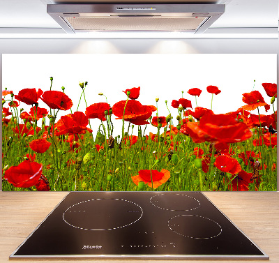 Cooker splashback Field poppies