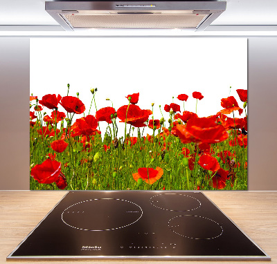 Cooker splashback Field poppies