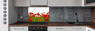 Cooker splashback Field poppies